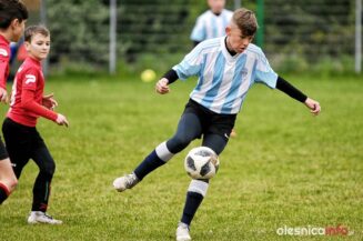 APO_Parasol_mlodzik_700_1473-20190427