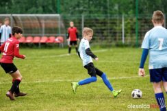 APO_Parasol_mlodzik_700_1474-20190427