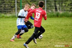 APO_Parasol_mlodzik_700_1477-20190427