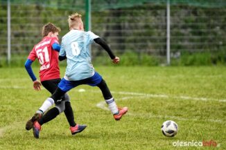 APO_Parasol_mlodzik_700_1478-20190427