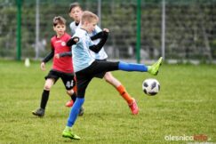 APO_Parasol_mlodzik_700_1481-20190427