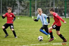 APO_Parasol_mlodzik_700_1483-20190427