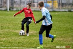 APO_Parasol_mlodzik_700_1494-20190427