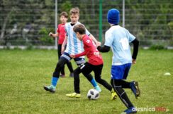 APO_Parasol_mlodzik_700_1497-20190427