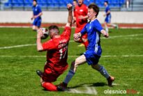 APO_Piast_Dobrzen_75X_6623-20190420