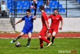 APO_Piast_Dobrzen_75X_6631-20190420