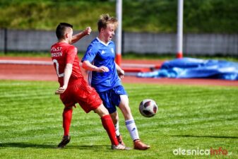 APO_Piast_Dobrzen_75X_6660-20190420