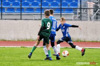 APO_Slask_mlodzik_700_1391-20190427