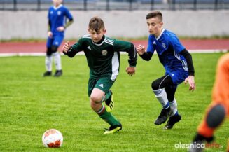 APO_Slask_mlodzik_700_1397-20190427