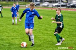 APO_Slask_mlodzik_700_1405-20190427