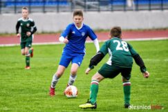 APO_Slask_mlodzik_700_1406-20190427