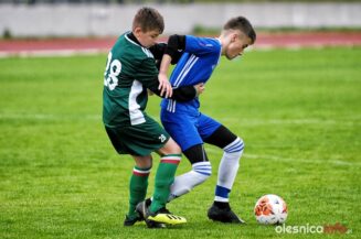 APO_Slask_mlodzik_700_1410-20190427