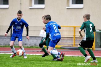 APO_Slask_mlodzik_700_1423-20190427