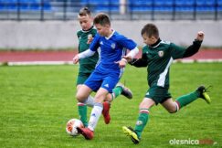 APO_Slask_mlodzik_700_1437-20190427