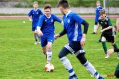 APO_Slask_mlodzik_700_1438-20190427