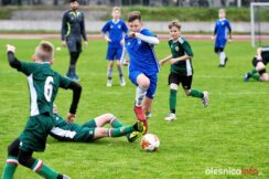 APO_Slask_mlodzik_700_1439-20190427