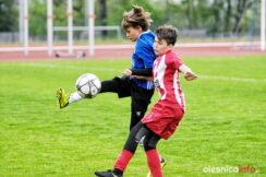 APO_Sroda_mlodzicy_700_1618-20190427