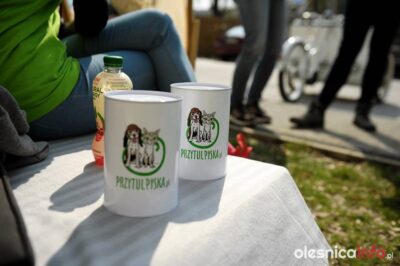 Do tej pory organizacji udało się uzbierać blisko 80 tysięcy złotych