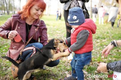 Udana charytatywna akcja dla Przytul Pyska w Dworze Spalice [AKTUALIZACJA, ZDJĘCIA]