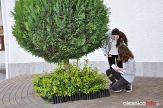 konkurs_religijny56485628_617434052016172_6889350769414242304_o