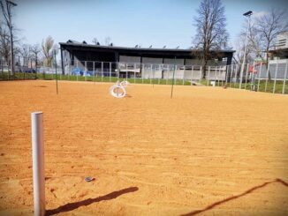 korty56444307_642101529594701_9063458820897898496_n