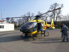 kot56635093_280738869485751_4402165071208251392_n