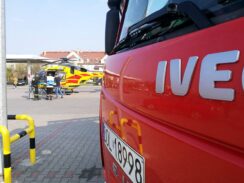 kot56721511_403305287129460_8433150023495057408_n