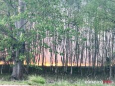 las57261121_2305114506473116_74601211109572608_n