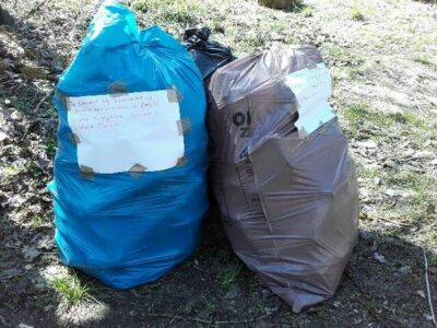 Wybrali się na spacer i posprzątali las