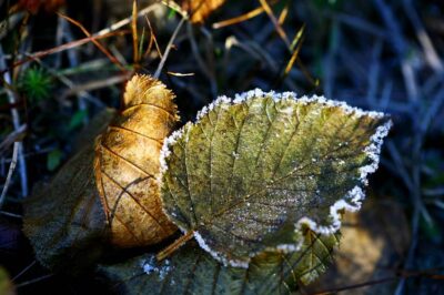 Przymrozki, gołoledź, potem sporo słońca