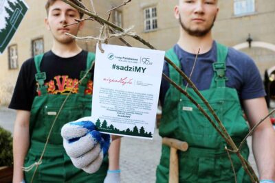 Młodzi sadzili dęby i buki przy zamku