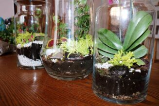 ohpIMG_3987-1024x683