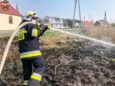 Strażacy interweniują i proszą: nie wypalajmy traw