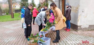 Ponad 7 tys. zł ze sprzedaży palm dla Pauliny