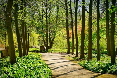 W Oleśnicy powstanie Park Rataje Północ