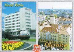 perła18422974_1935035383395973_8231032761032150816_o