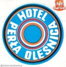 perła18485329_1935021746730670_5201156087371230171_n