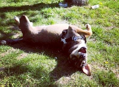 Ciężki los Dżekiego i szczęśliwe zakończenie