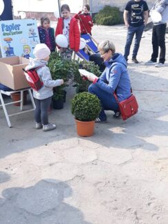 piknik56675165_664202757343440_5775749097696788480_n