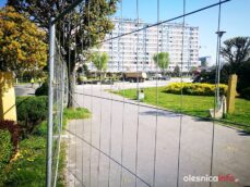 plac58380663_290645681853323_6329680062178131968_n