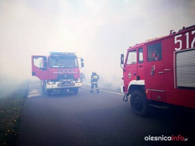 Kolejny duży pożar nieużytków między starą ósemką a trasą S8