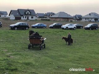 pociąg56990214_2474020672642941_3667347586211119104_n