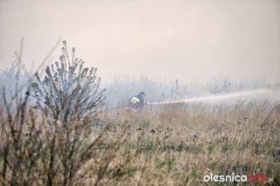 Palą się nieużytki pomiędzy dwiema wsiami. Na miejsce wezwano strażaków