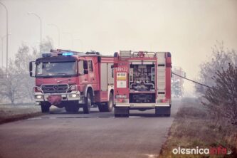 pozar_traw_700_1110-20190423