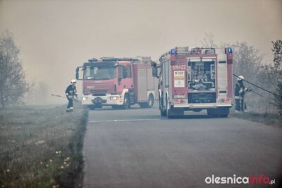 Strażacy raportują: las został obroniony