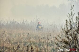 pozar_traw_700_1116-20190423