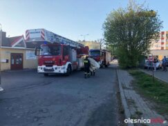 samobojca_3maja57384370_268338590777657_467062927342436352_n