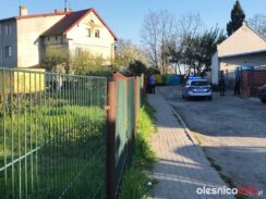 samobojca_3maja57434120_421982921693830_6626798383522643968_n