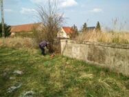 siekierowice56365776_2294311437561325_176148991199674368_o