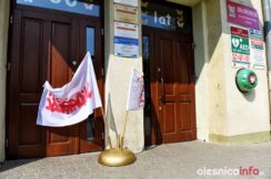 strajk_nauczycieli_75X_5623-20190408
